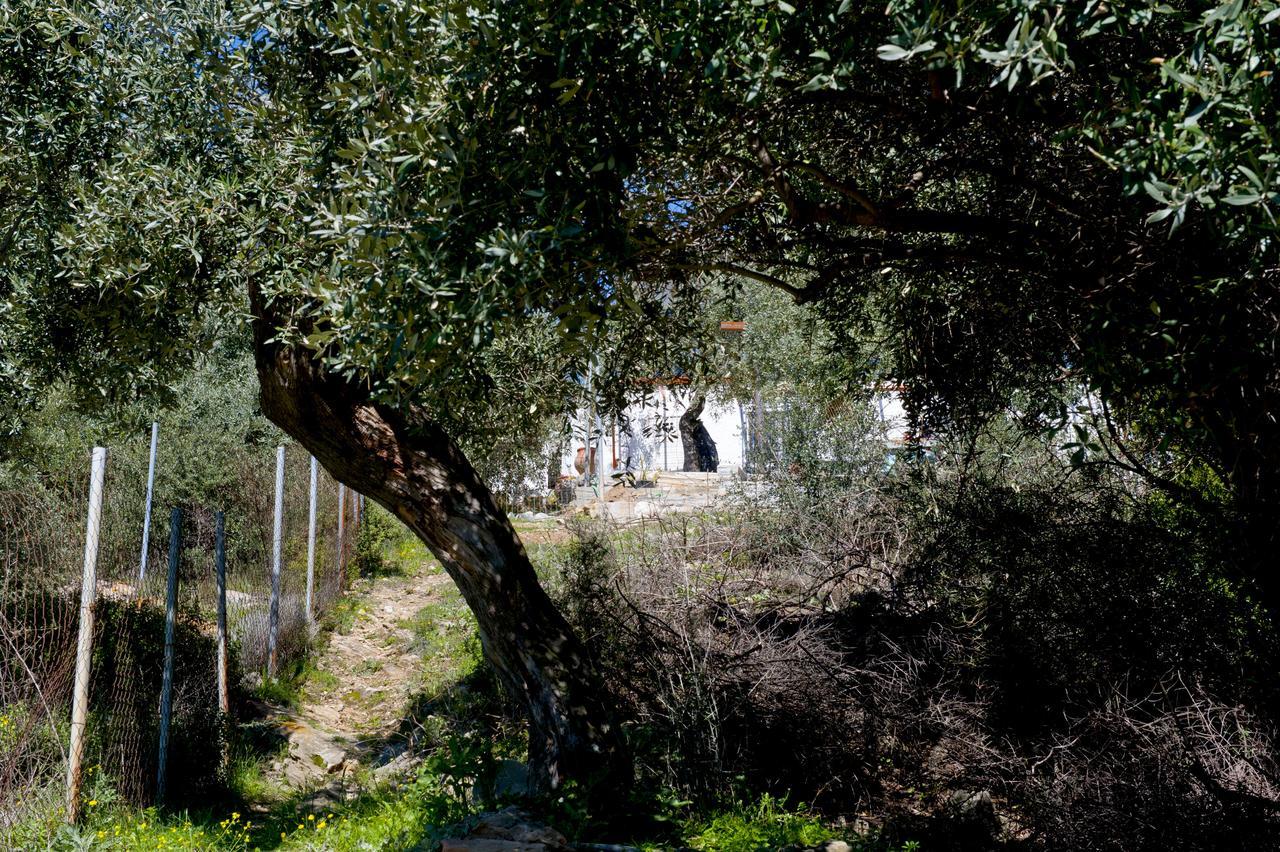 Studios Ntina Aliki  Exterior photo