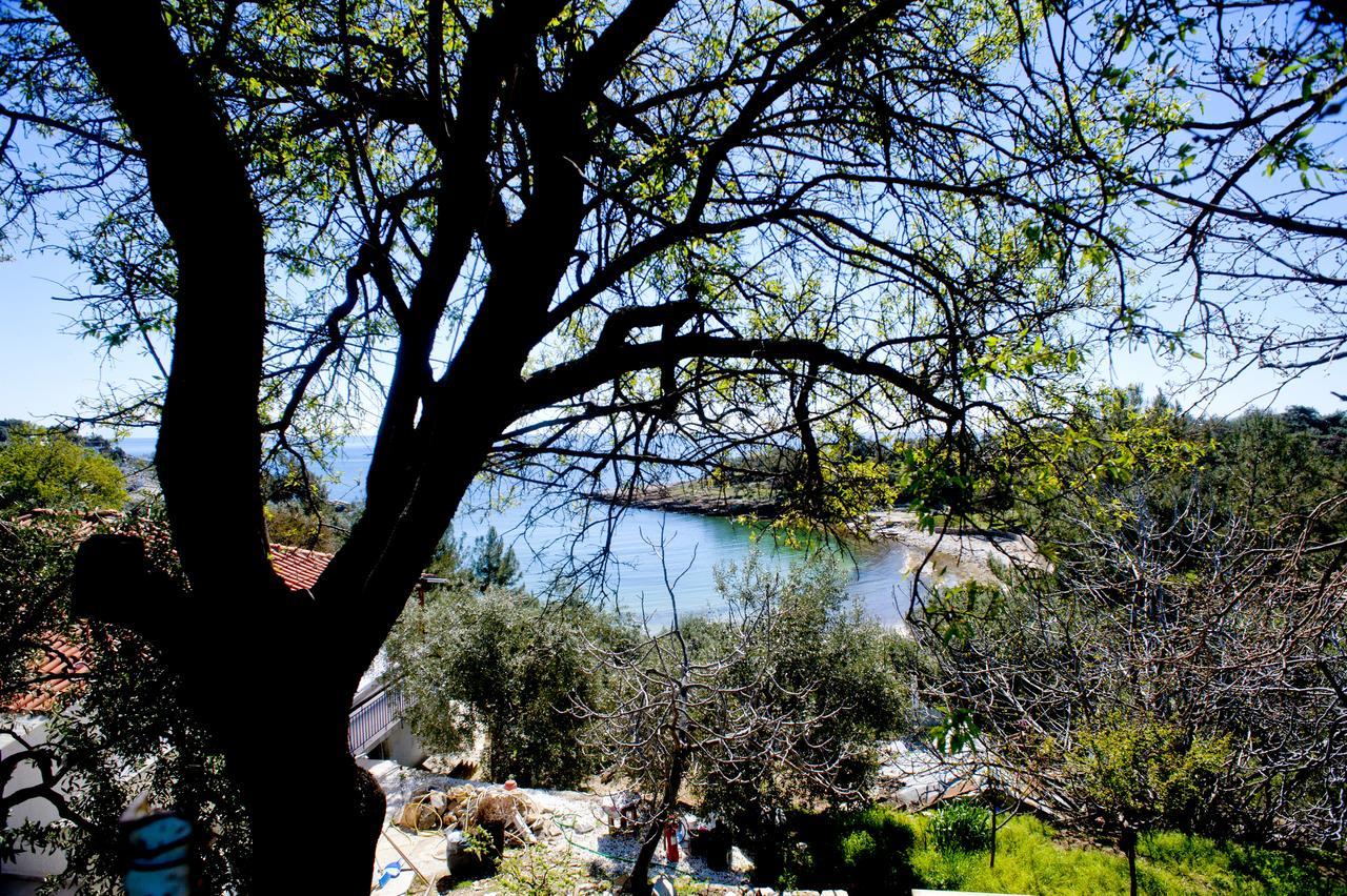 Studios Ntina Aliki  Exterior photo